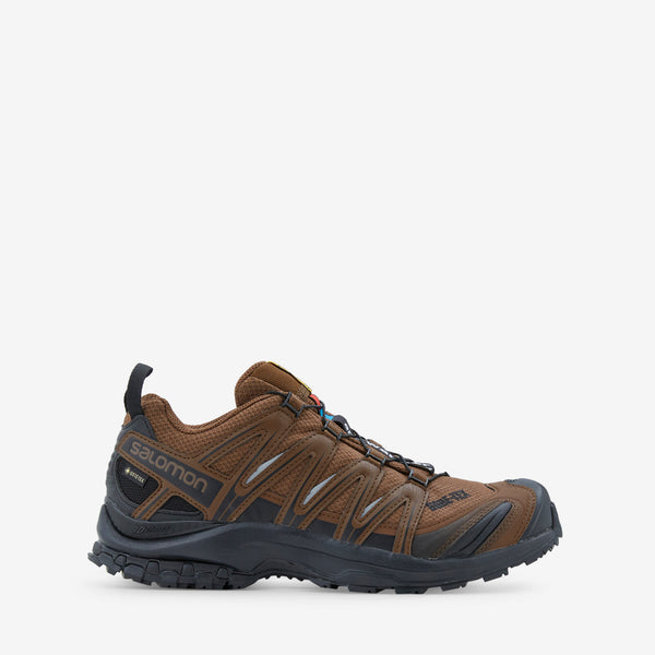 XA Pro 3D Gore-Tex Brown for and wander