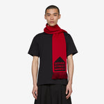 DSM Football Scarf Red
