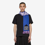 DSM Football Scarf Blue