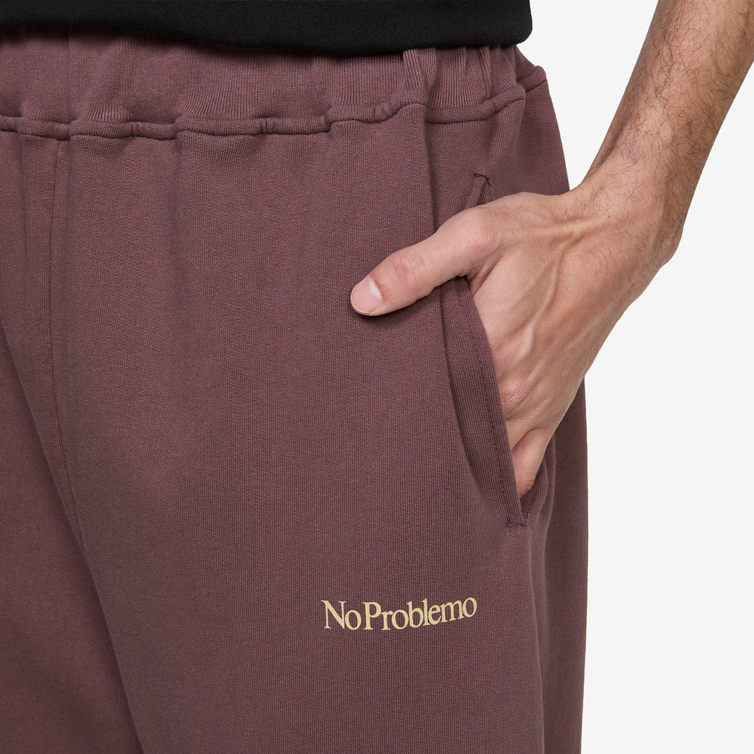 Mini Problemo Straight Sweatpant Brown Pants