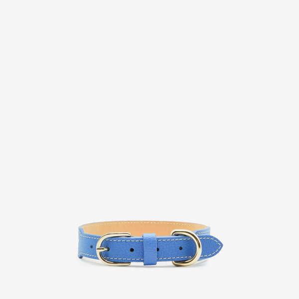 SR Dog Collar Ocean | Gold