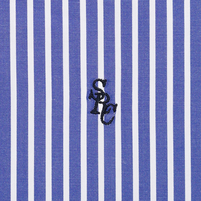 Charlie Shirt Blue Striped